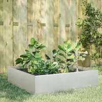 Prolenta Maison Exclusive - Potager surélevé 100 x 100 x 41 cm en acier inoxydable