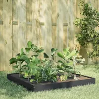 Prolenta Maison Exclusive - Jardinière surélevée anthracite, 100x100x18,5 cm, en acier