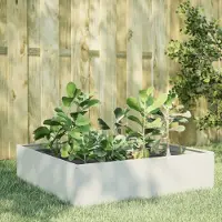 Prolenta Maison Exclusive - Potager surélevé blanc 100 x 100 x 41 cm en acier