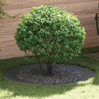Prolenta Maison Exclusive - Adaptée aux arbres à faible circonférence. Lot de 5 pièces. Noir. Diamètre 90/120 cm. Acier