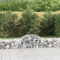 Prolenta Maison Exclusive - Paniers à gabions arqués 11 pcs 200x50x40/60 cm fer galvanisé