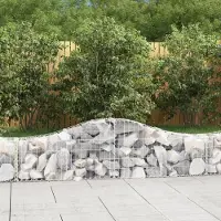 Prolenta Maison Exclusive - Paniers à gabions arqués 14 pcs 200x30x40/60 cm Fer galvanisé
