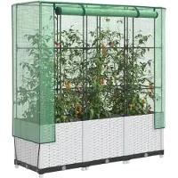 Prolenta Maison Exclusive - Potager surélevé avec serre intégrée, aspect rotin, 120 x 40 x 138 cm
