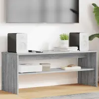 Prolenta Maison Exclusive - Meuble TV, dimensions 100 x 35 x 40 cm, en panneaux de particules imitation bois Sonoma gris