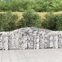 Prolenta Maison Exclusive - Paniers à gabions arqués 25 pcs 400x30x100/120 cm Fer galvanisé