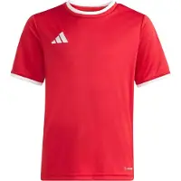Adidas T-Shirt fonctionnel 'Entrada26' rouge sang / blanc