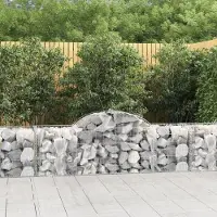 Prolenta Maison Exclusive - Paniers à gabions arqués 40 pcs 200x50x60/80 cm fer galvanisé