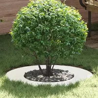 Prolenta Maison Exclusive – adaptée aux arbres à faible circonférence. Lot de 5 pièces, blanc, diamètre 40/70 cm, en acier