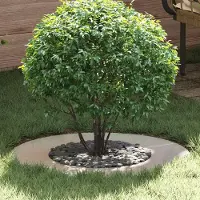 Prolenta Maison Exclusive - Adaptée aux arbres à faible circonférence. Lot de 5 pièces. Argent, diamètre 40/70 cm. Acier inoxydable