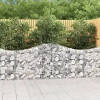 Prolenta Maison Exclusive - Paniers à gabions arqués 40 pcs 200x30x80/100 cm Fer galvanisé