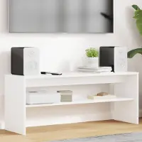 Prolenta Maison Exclusive - Meubles TV, dimensions 100 x 30 x 40 cm, blanc, en panneaux de particules