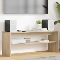 Prolenta Maison Exclusive - Meubles TV, dimensions 100 x 30 x 40 cm, en panneaux de particules imitation chêne Sonoma