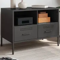 Prolenta Maison Exclusive - Meuble TV noir 68x39x50,5 cm Acier