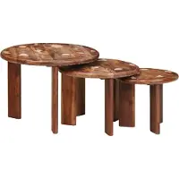 Syfax Tables basses gigognes 3 pcs Multicolore Bois massif recyclé
