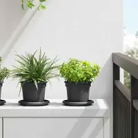 Prolenta Maison Exclusive - Pot de fleurs rond, lot de 24, noir, Ø 12,5 x 10 cm, plastique