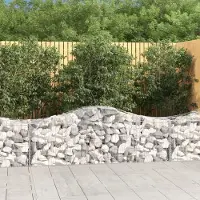 Prolenta Maison Exclusive - Paniers à gabions arqués 13 pcs 200x50x60/80 cm Fer galvanisé