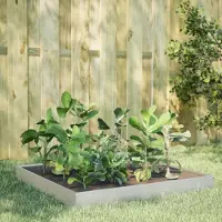 Prolenta Maison Exclusive - Potager surélevé 100 x 100 x 18,5 cm en acier inoxydable