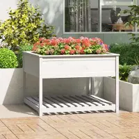 Prolenta Maison Exclusive - Bac à plantes avec tablette Blanc 111,5x111,5x81 cm Bois massif Pin