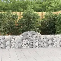 Prolenta Maison Exclusive - Paniers à gabions arqués 7 pcs 200x30x60/80 cm Fer galvanisé