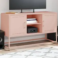 Prolenta Maison Exclusive - Meuble TV Rosa 100,5x39x60,5 cm Acier