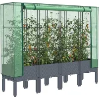 Prolenta Maison Exclusive - Potager surélevé avec serre intégrée, aspect rotin, 160 x 40 x 140 cm