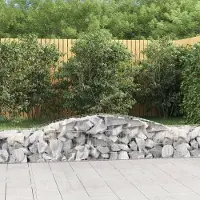 Prolenta Maison Exclusive - Paniers à gabions arqués 9 pcs 400x50x40/60 cm Fer galvanisé