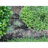 BURI 4x tuyau d'arrosage à perles 15 m tuyau d'arrosage goutte à goutte uniforme