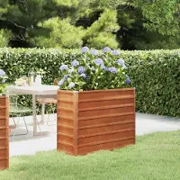 Prolenta Maison Exclusive - Jardinière surélevée Rostig 100 x 40 x 77 cm en acier Corten