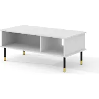 Homlando Table basse SHERWOOD 110x55 cm BLANC MATTE Façades fraisées MDF Table basse sur pieds Table pour le salon