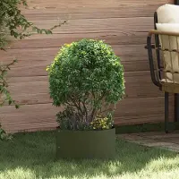 Prolenta Maison Exclusive - Lot de 5 plantes artificielles, couleur olive, dimensions : 30 x 30 x 20 cm