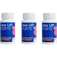 NGS 3X Uro Up Forte Supplément Diététique 30 Kapsułek