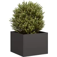 Prolenta Maison Exclusive - Bac à plantes noir 40x40x30 cm en acier