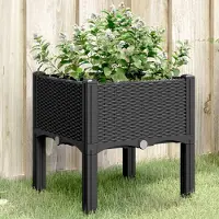 Prolenta Maison Exclusive - Jardinière sur pieds Noir 40x40x42 cm PP