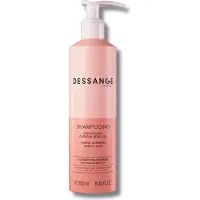 DESSANGE Shampooing DISCIPLINANT - Cheveux Rebelles 250ml - Lissage, Contrôle des Cheveux Rebelles et Anti-Frizz - Souplesse et Brillance, Facilite le Coiffage