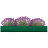 Prolenta Maison Exclusive - Potager surélevé en acier galvanisé 320 × 40 × 45 cm Vert