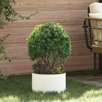 Prolenta Maison Exclusive - Lot de 5 pots pour plantes, couleur blanche, dimensions 30 x 30 x 20 cm, en acier laminé à froid