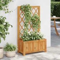 Prolenta Maison Exclusive - Potager surélevé avec treillis en bois massif d'acacia