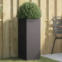 Prolenta Maison Exclusive - Bac à plantes noir 32x29x75 cm en acier