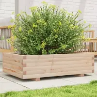 Prolenta Maison Exclusive - Bac à plantes 90x60x26,5 cm en pin massif
