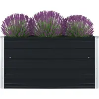 Prolenta Maison Exclusive - Potager surélevé 100×100×45 cm Acier galvanisé Anthracite