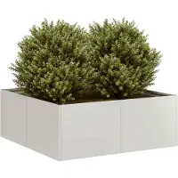 Prolenta Maison Exclusive - Bac à plantes 80x80x30 cm en acier inoxydable
