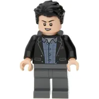 LEGO : Bruce Banner