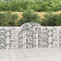 Prolenta Maison Exclusive - Paniers à gabions arqués 20 pcs 200x30x100/120 cm Fer galvanisé