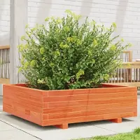 Prolenta Maison Exclusive - Bac à plantes brun cire 80x80x26,5 cm Bois massif Pin