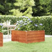 Prolenta Maison Exclusive - Potager surélevé « Rostig » 100 x 100 x 45 cm en acier Corten