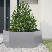 Prolenta Maison Exclusive - Bac à plantes hexagonal 138x120x45 Acier galvanisé