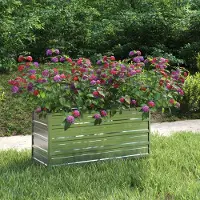 Prolenta Maison Exclusive - Lit surélevé de jardin 100x40x45 cm Acier galvanisé Argenté