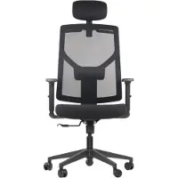 Stema Chaise de bureau ergonomique pivotante CURTIZ, base en nylon, accoudoirs réglables, appui-tête et dossier en maille avec cintre, noir