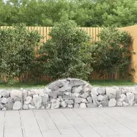 Prolenta Maison Exclusive - Paniers à gabions arqués 6 pcs 200x30x40/60 cm Fer galvanisé