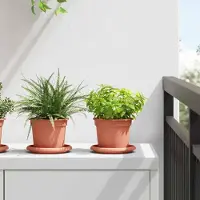 Prolenta Maison Exclusive - Lot de 24 pots de fleurs rouge brique, Ø 12,5 x 10 cm, en plastique